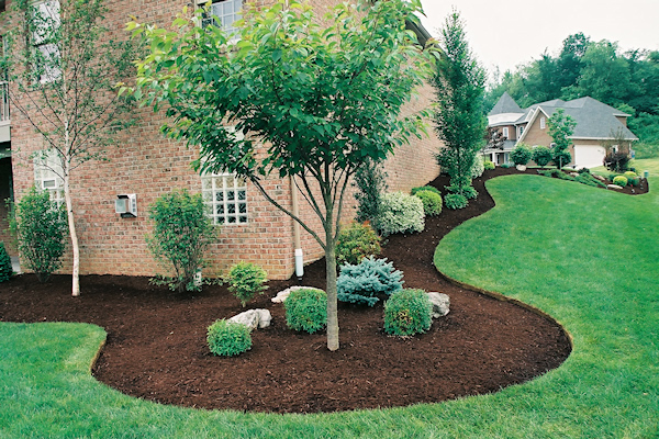 Groundcover Stone & Mulch